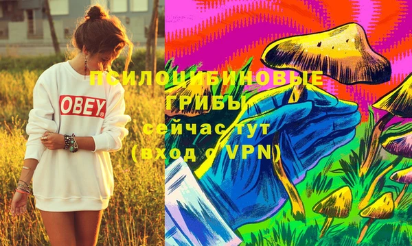экстази Алексеевка