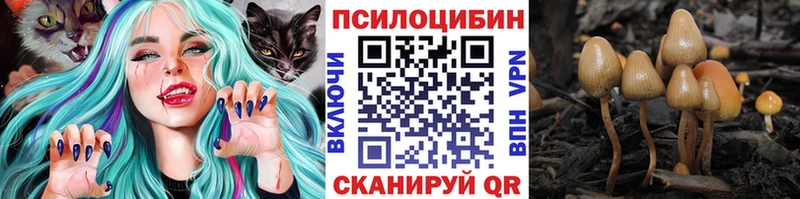 Галлюциногенные грибы Psilocybine cubensis  Каневская 